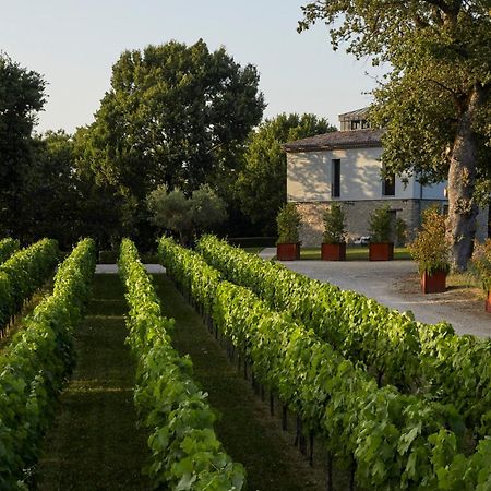Borgo San Gregorio Villa Sorbo Serpico ภายนอก รูปภาพ