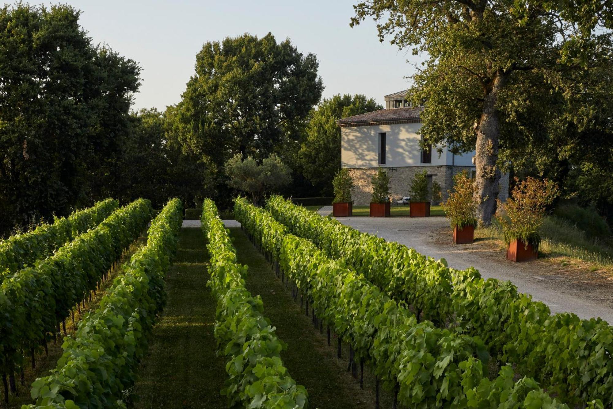 Borgo San Gregorio Villa Sorbo Serpico ภายนอก รูปภาพ